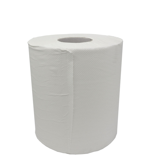 PAPER TOWEL ROLL FORM 2 PLY - GENERAL