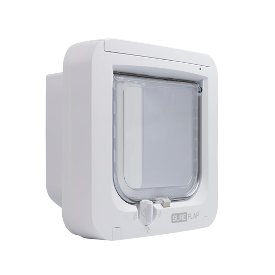 Pet Doors Flat Glass Glasscorp Ltd